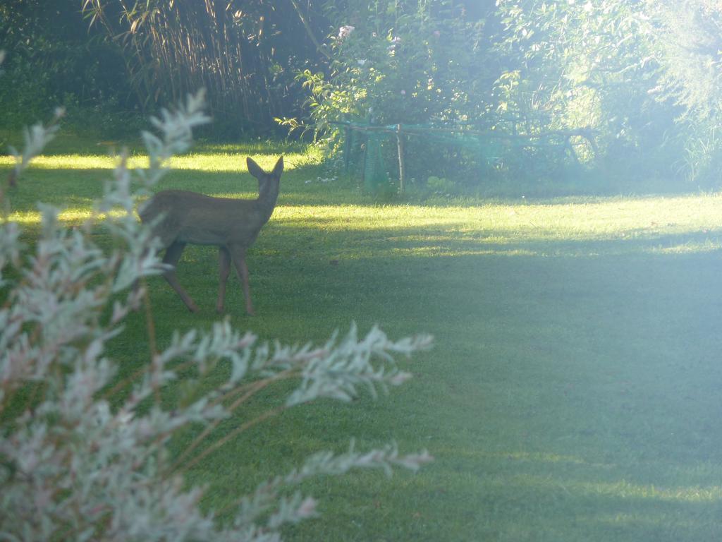 La Belle Relax - Calme Et Tranquillite Assures - 2 Personnes Bed & Breakfast Moëlan-sur-Mer Exterior foto