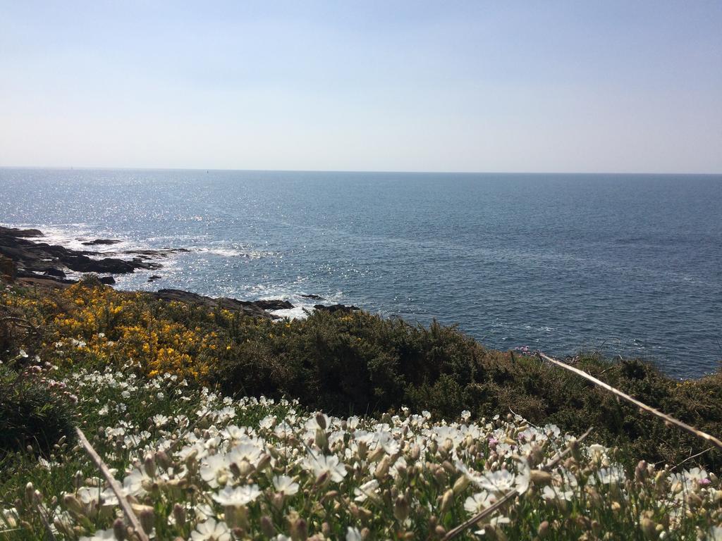 La Belle Relax - Calme Et Tranquillite Assures - 2 Personnes Bed & Breakfast Moëlan-sur-Mer Exterior foto